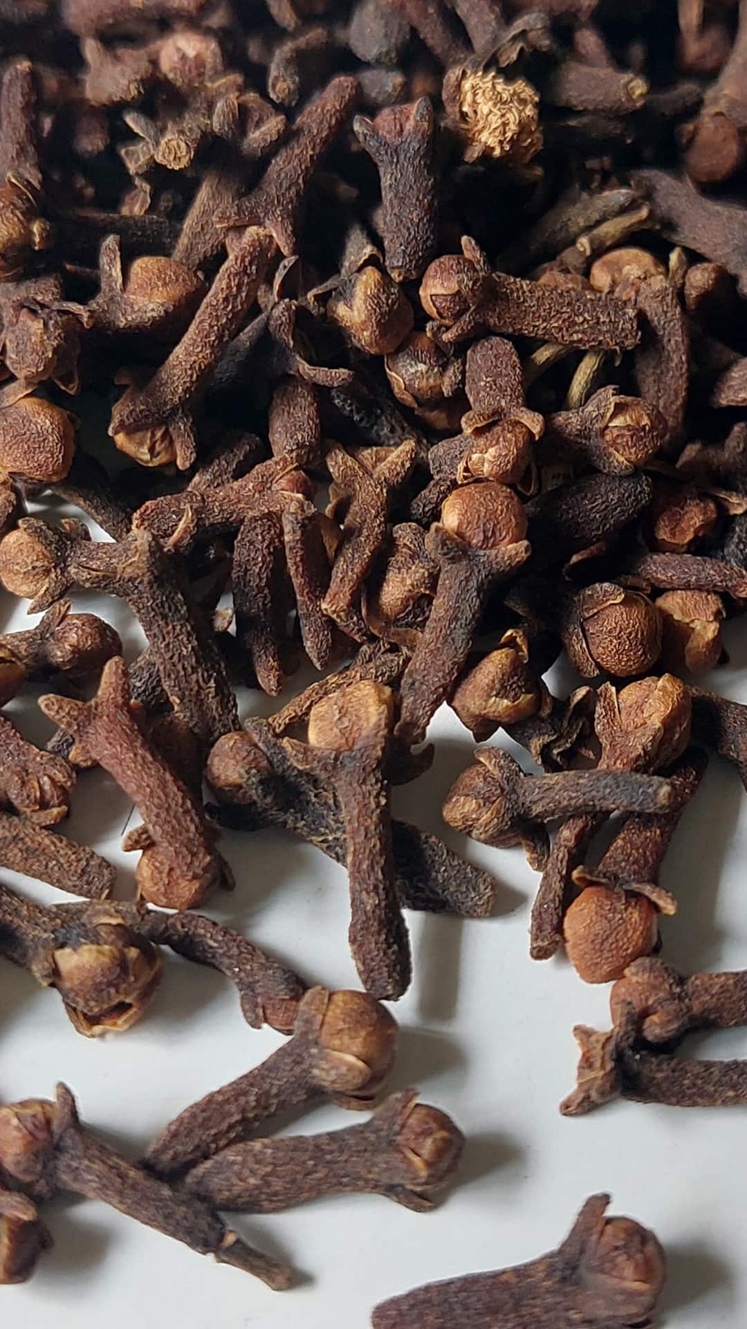 5 Health Benefits Of Sleeping With A Clove In Your Mouth At Night 5 Health Benefits Of Sleeping With A Clove In Your Mouth At Night