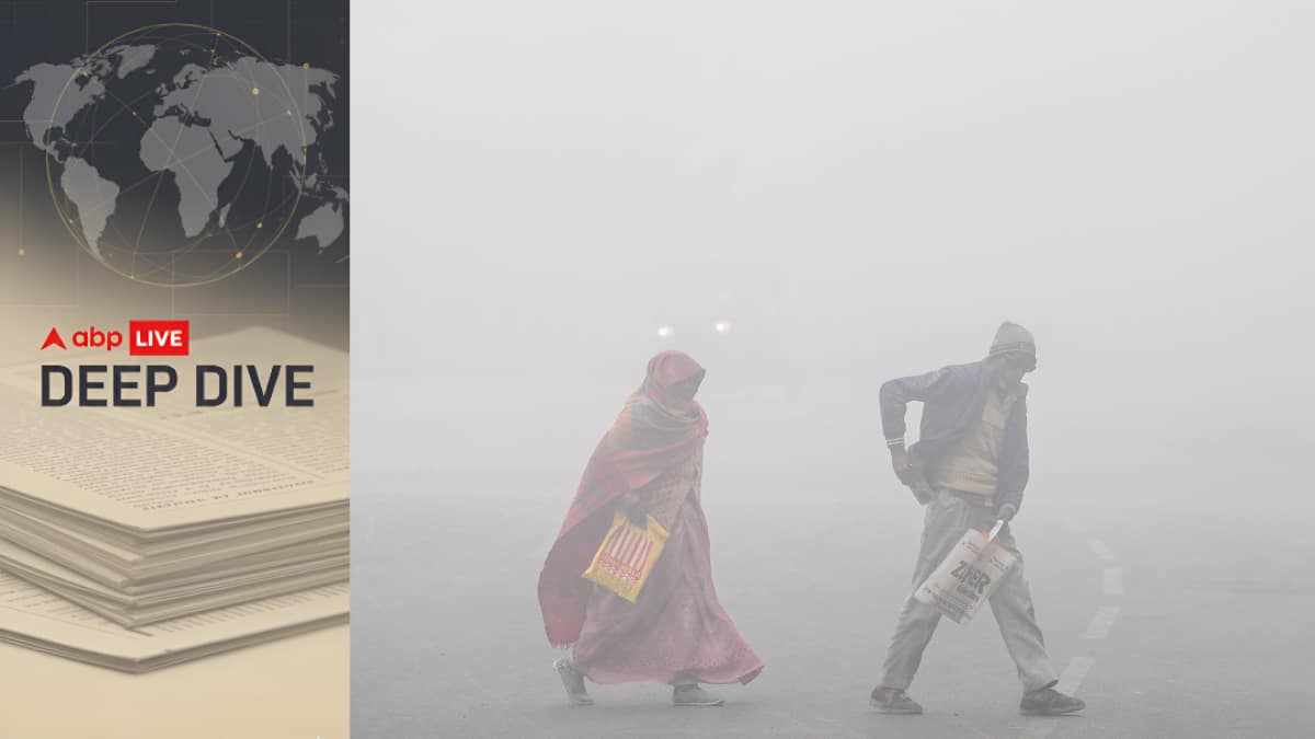 ABP Deep Dive: Why Is Delhi Colder Than Shimla & Mussoorie? Reason Behind Freezing Plains Explained