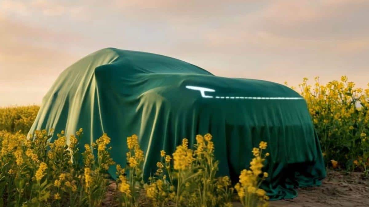 The Art of Baking: From Classic Bread to Artisan Pastries