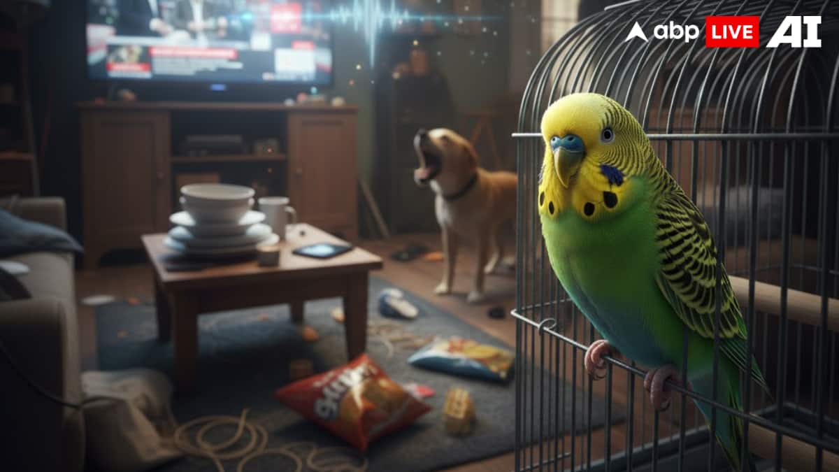 (Image Source: ABPLIVE AI)