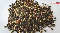 Spices For Kids Immunity: बिना बीमारी बच्चों की कट जाएगी सर्दी, अगर बच्चों को पिला दी हर किचन में मिलने वाली ये 3 चीजें