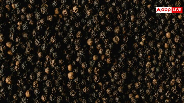 दूध में काली मिर्च की हल्की-सी मात्रा मिलाने से शरीर को हल्की गर्माहट मिलती है. इसमें मौजूद तत्व हल्दी जैसे मसालों के असर को भी बढ़ाने में मदद करते हैं, जिससे इम्युनिटी सपोर्ट बेहतर हो सकता है.