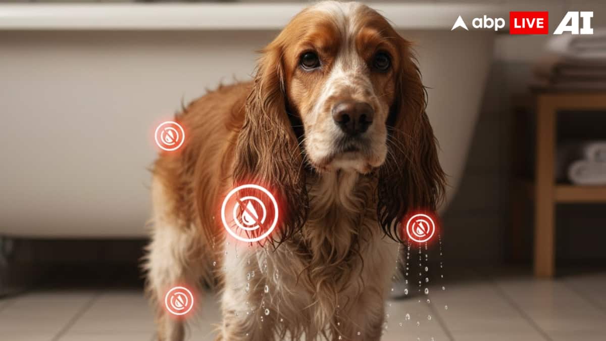 (Image Source: ABPLIVE AI)