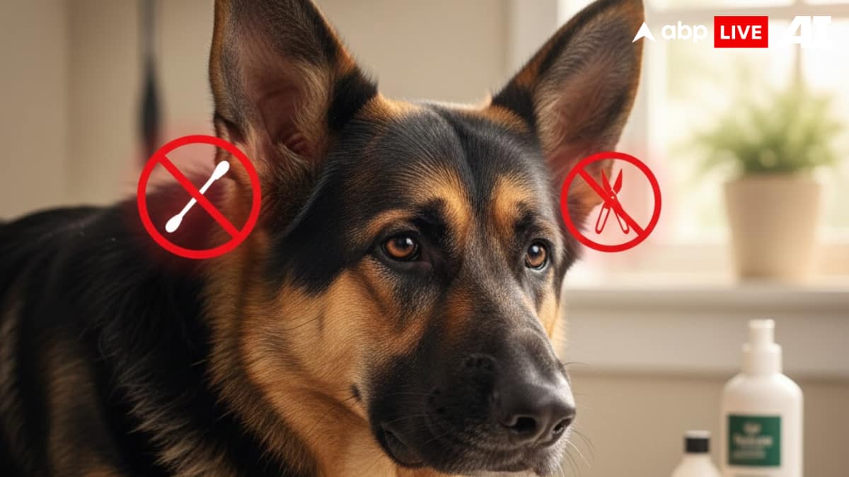 (Image Source: ABPLIVE AI)