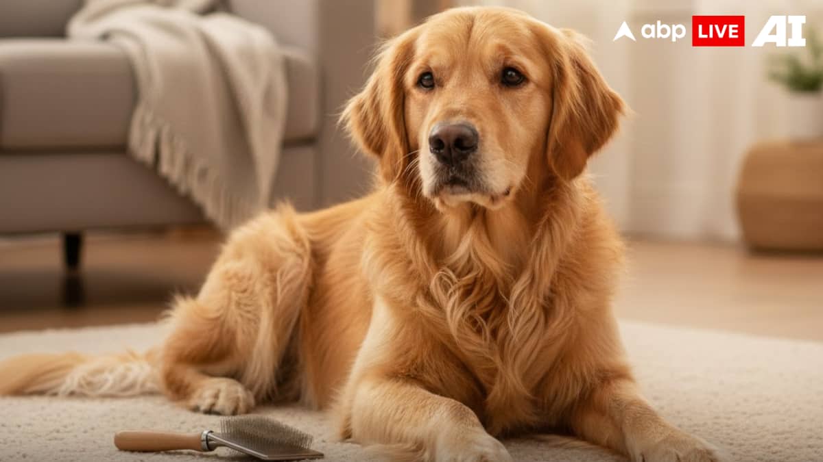 (Image Source: ABPLIVE AI)