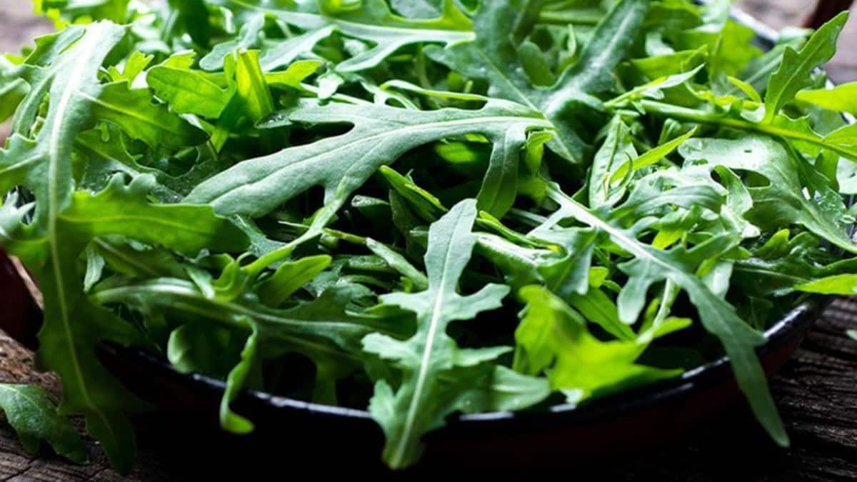 What Are Rocket Leaves? Know 8 Powerful Health Benefits Of This Peppery Supergreen