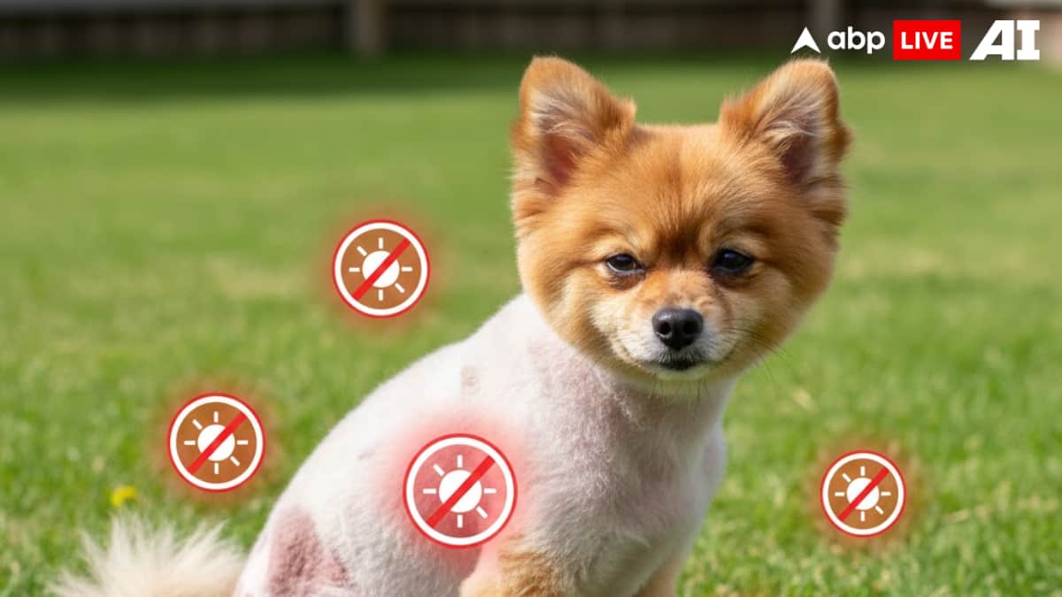 (Image Source: ABPLIVE AI)