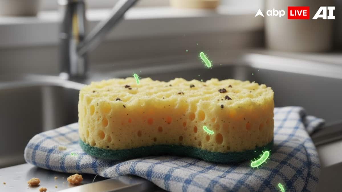 (Image Source: ABPLIVE AI)