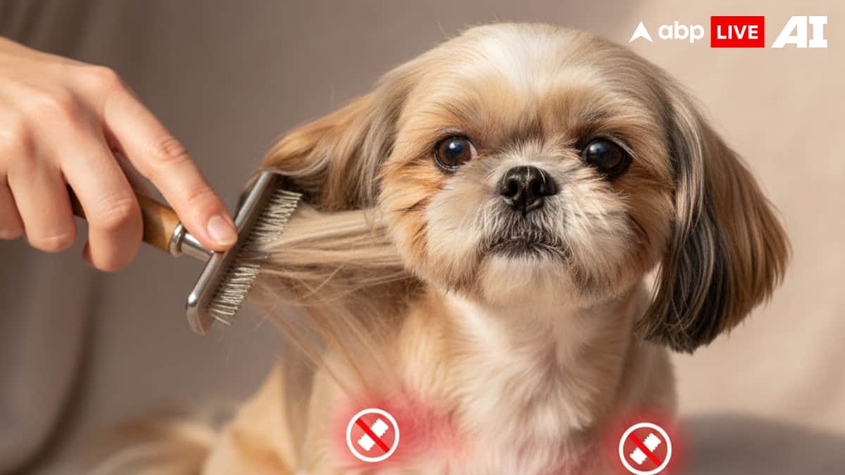 (Image Source: ABPLIVE AI)