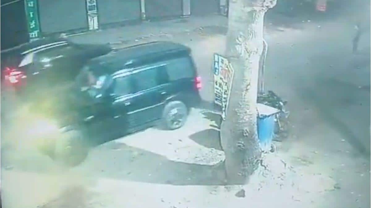 The Art of Baking: From Classic Bread to Artisan Pastries