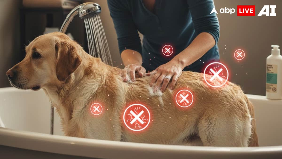 (Image Source: ABPLIVE AI)