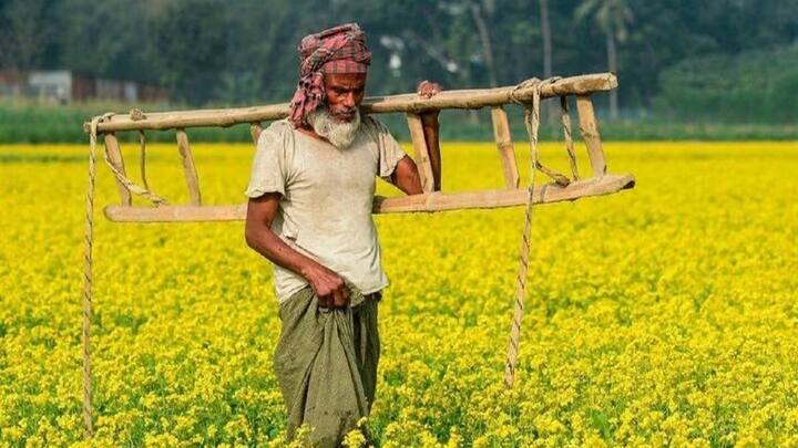 अगर आप चाहते हैं कि 22वीं किस्त बिना रुकावट खाते में आए. तो अभी ई-केवाईसी जरूर चेक कर लें. छोटी सी लापरवाही आपकी किस्त अटका सकती है. इसके अलावा समय रहते अपने खाते से जुड़ी बाकी जानकारी को चेक कर लें नहीं तो फिर नुकसान उठाना पड़ सकता है.