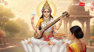 Basant Panchami 2026: Know The Importance Of Yellow And Other Auspicious Colours For The Day