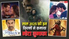 साल 2025 में 'धुरंधर' से 'सैयारा' तक ने कमाया मोटा मुनाफा, जानें-टॉप 10 की लिस्ट