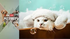 ABP Live Pet First: Winter Health Risks Every Pet Parent Should Watch Out For