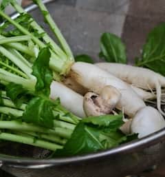 ਸਰਦੀਆਂ ‘ਚ ਮੂਲੀ ਖਾਣ ਦੇ ਫਾਇਦੇ, ਸਿਹਤ ਨੂੰ ਮਿਲਦੇ ਕਈ ਤਰ੍ਹਾਂ ਦੇ ਲਾਭ, ਦੂਰ ਹੁੰਦੀਆਂ ਬਿਮਾਰੀਆਂ