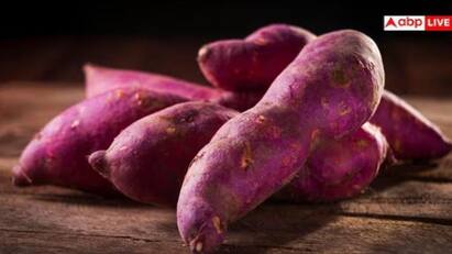 Sweet Potato: શું તમે કેમિકલવાળા શક્કરિયા ખાઈ રહ્યા છો? આજે જ બંધ કરો, નહીં તો થઈ જશે કેન્સર!