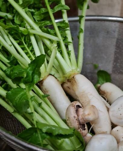 ਸਰਦੀਆਂ ਦੇ ਮੌਸਮ ਵਿੱਚ ਸਹੀ ਮਾਤਰਾ ਅਤੇ ਸਹੀ ਤਰੀਕੇ ਨਾਲ ਪੋਸ਼ਕ ਤੱਤਾਂ ਨਾਲ ਭਰਪੂਰ ਮੂਲੀ ਨੂੰ ਆਪਣੇ ਡਾਇਟ ਪਲਾਨ ਵਿੱਚ ਸ਼ਾਮਲ ਕਰਨ ਨਾਲ ਸਿਹਤ ਨਾਲ ਜੁੜੀਆਂ ਕਈ ਸਮੱਸਿਆਵਾਂ ਤੋਂ ਛੁਟਕਾਰਾ ਮਿਲ ਸਕਦਾ ਹੈ।