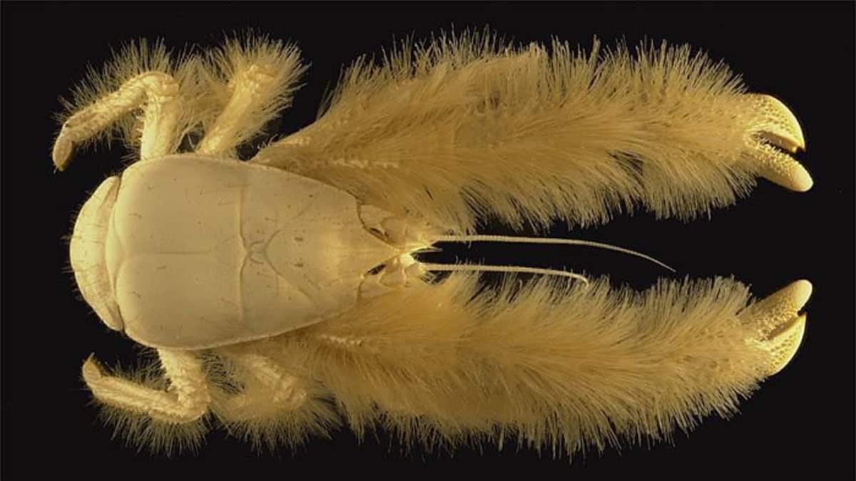 (Image Source: Twitter/@AydarAkhatov)