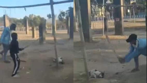 रांची में कुत्ते को खंभे से बांधकर पीट-पीटकर मार डाला, बर्बरता में 7-8 लोग शामिल, FIR दर्ज