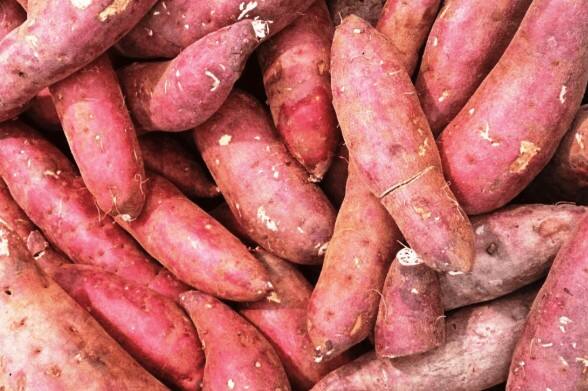 Sweet Potatoes Harmful: શક્કરિયાને નાસ્તાથી લઈને રાત્રિભોજન સુધી ગમે ત્યારે ખાઈ શકાય છે. છેલ્લા કેટલાક વર્ષોમાં તે ન્યૂટ્રિશનિસ્ટ અને ડાયટીશિયન વચ્ચે ખૂબ જ લોકપ્રિય થયા છે અને તેને  બટાટાનો સ્વસ્થ વિકલ્પ માનવામાં આવે છે. આના કારણે શક્કરિયાની માંગમાં ઝડપથી વધારો થયો છે. જો કે આ વધતી માંગ સાથે ભેળસેળ પણ મોટી સમસ્યા બની ગઈ છે.