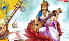 Basant Panchami 'ਤੇ ਭੁੱਲ ਕੇ ਵੀ ਨਾ ਕਰੋ ਆਹ ਕੰਮ, ਬੁੱਧੀ ਹੋ ਜਾਂਦੀ ਭ੍ਰਿਸ਼ਟ!