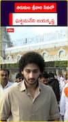 తిరుమల శ్రీవారి సేవలో... ఘట్టమనేని జయకృష్ణ