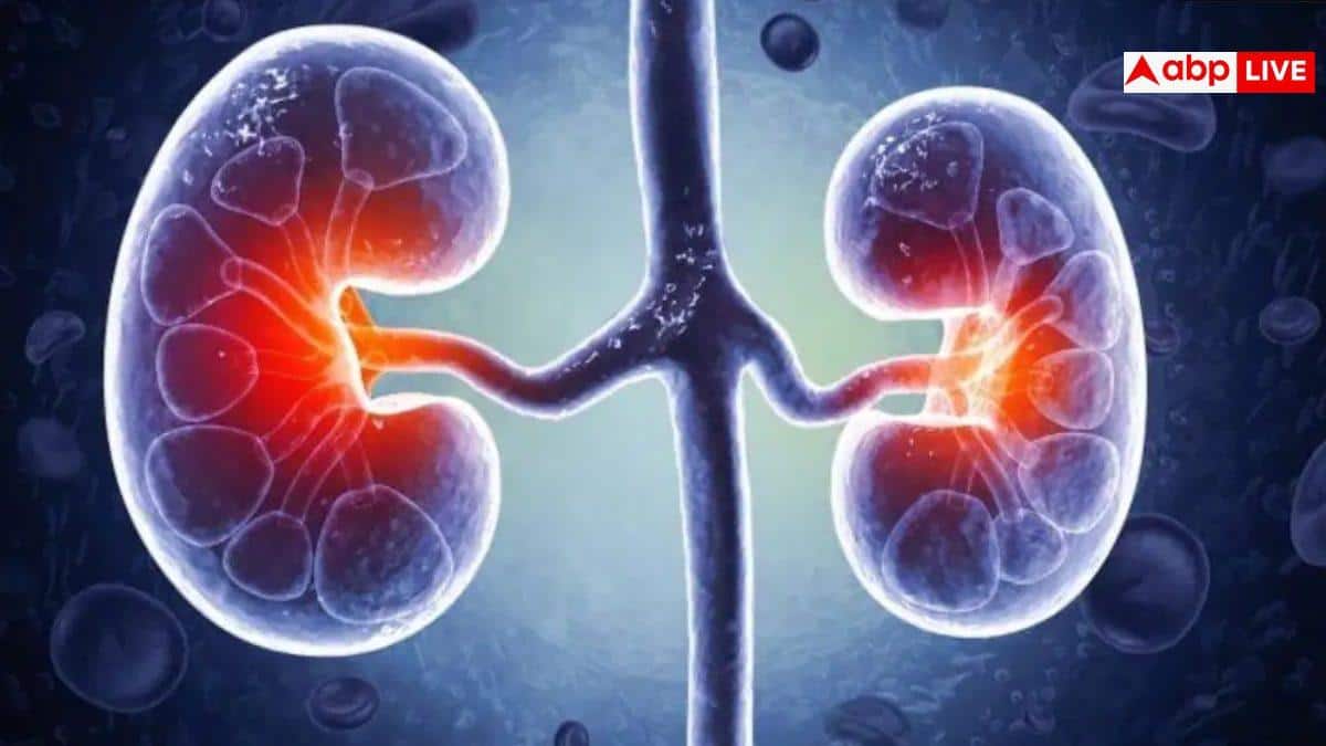 Hidden Signs Of Kidney Damage: सिर्फ पुरुषों में दिखते हैं किडनी डैमेज के ये लक्षण, 99% लोग कर देते हैं इग्नोर
