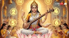 बसंत पंचमी 2026: अपने मूलांक के अनुसार करें ये खास उपाय, मिलेगा करियर और शिक्षा में लाभ!