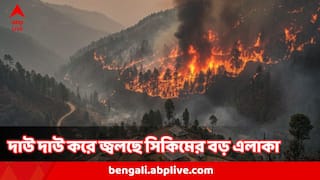 Silkkim Fire : সিকিমে দাউদাউ করে জ্বলছে পাহাড়, বরফ নেই, শুধুই লেলিহান শিখা, এগোচ্ছে চিন সীমান্তের দিকে