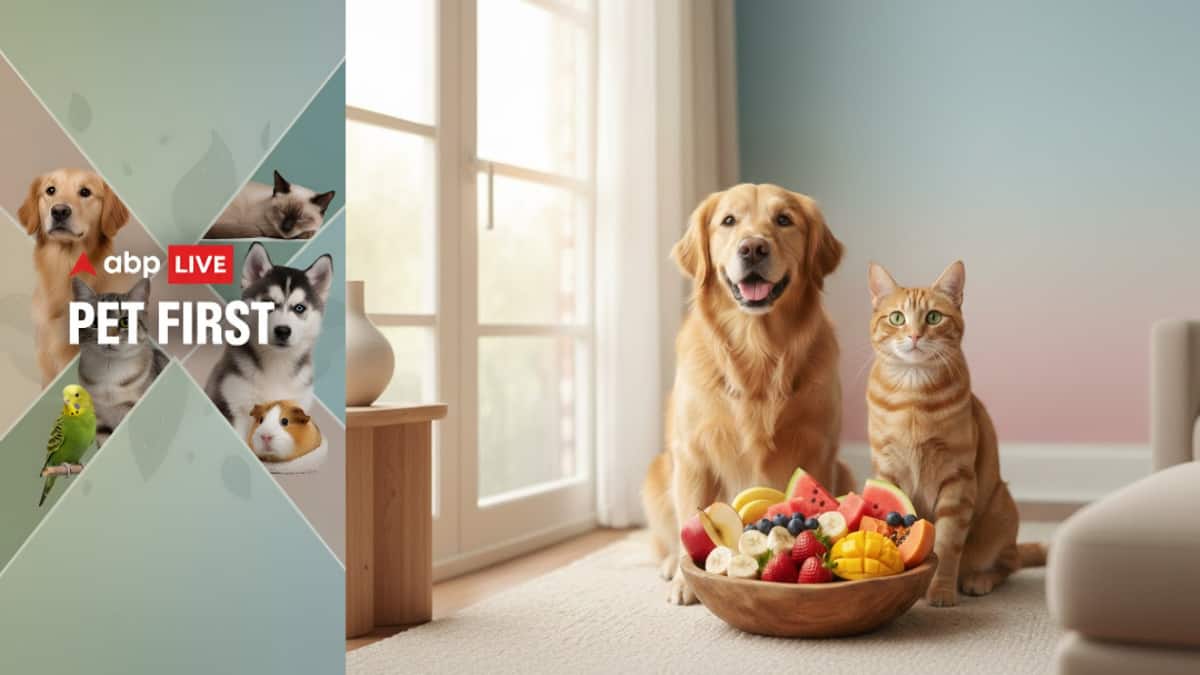 ABP Live Pet First | 8 Fruits That Are Good For Your Pet And Safe To Add To Their Diet
