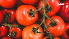 Raw Tomato Benefits: इम्युनिटी से लेकर वेट लॉस तक...कच्चा टमाटर खाने के ये 10 फायदे जानकर आप भी हो जाएंगे हैरान