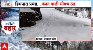 Breaking News: Heavy Snowfall Blankets Shimla, Stunning Views and Travel Disruptions