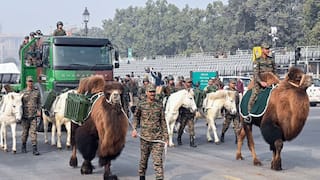 Republic Day 2026 Parade To Showcase Indian Army’s 'Silent Warriors' Animal Contingent
