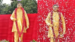 అనకాపల్లిలో 'సిరివెన్నెల' కాంస్య విగ్రహం - ప్రతీ ఏటా అవార్డులు