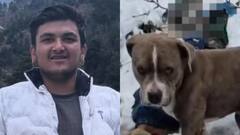 हिमाचल: वफादारी की मिसाल, मालिक की मौत के बाद 4 दिन तक बर्फबारी में शव की रखवाली करता रहा पिटबुल