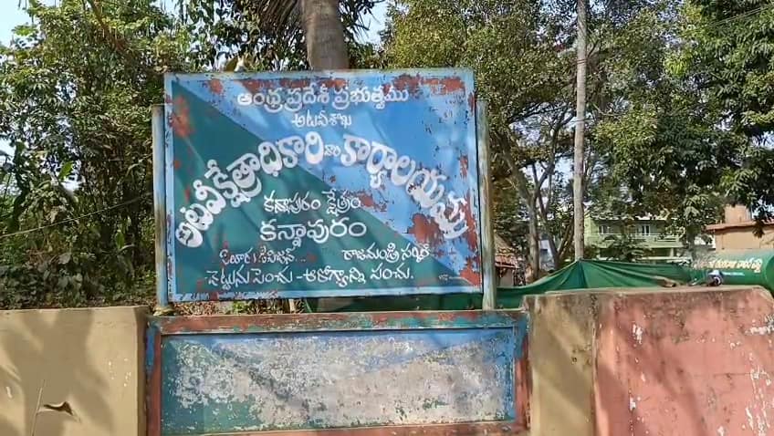 Tiger In Eluru Agency: ఏలూరులో ఏజెన్సీ ప్రాంతాలను హడలెత్తిస్తున్న పులి.. ఇళ్ల నుంచి బయటకు రావాలంటే వణుకు!