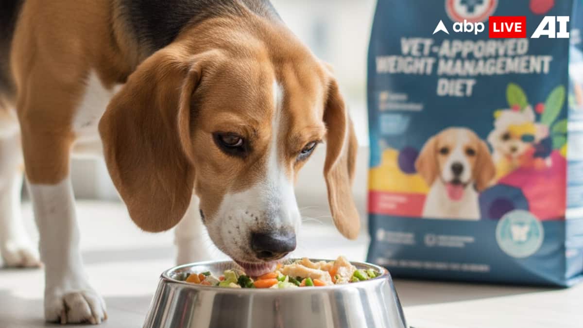 (Image Source: ABPLIVE AI)