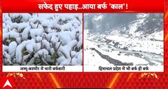 Weather Update: Jammu and Kashmir Sees Fresh Snowfall, Cold Wave Tightens Grip