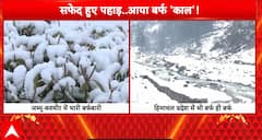 Weather Update: Jammu and Kashmir Sees Fresh Snowfall, Cold Wave Tightens Grip