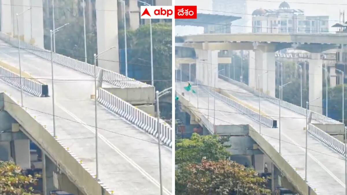 Engineering Marvel Trolling: ఇలా కూడా వంతెన నిర్మిస్తారా? - ముంబైలో ఈ డబుల్ డెక్కర్ ఫ్లైఓవర్ చూస్తే ఫ్యూజులు ఎగిరిపోతాయి !