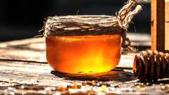 Honey Health Benefits: આરોગ્ય સંબંધિત અનેક સમસ્યાઓનો રામબાણ ઈલાજ છે એક ચમચી મધ