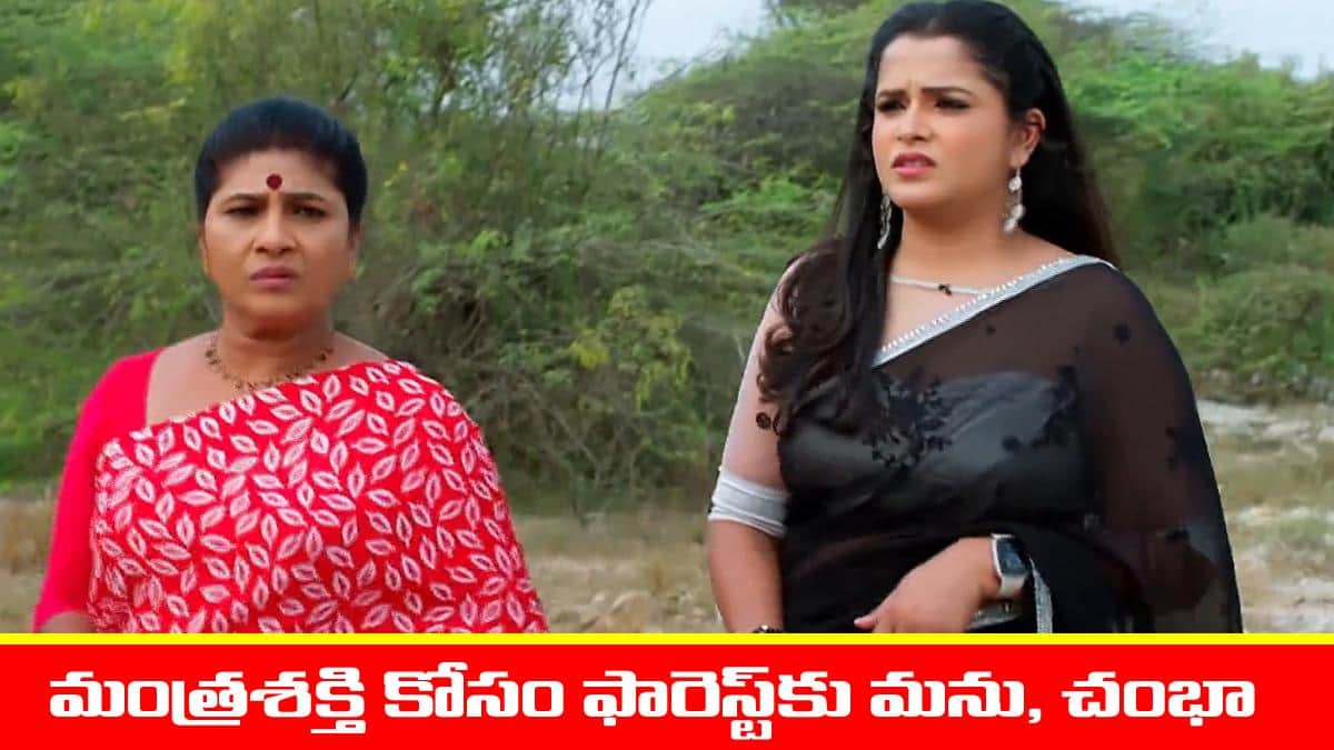 Nindu Noorella Saavasam Serial Today January 28th: ‘నిండు నూరేళ్ల సావాసం’ సీరియల్‌: మంత్ర శక్తి కోసం ఫారెస్ట్‌లోకి వెళ్లిన చంభా, మను  