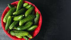 Cucumber Health Benefits: રોજ સવારે ખાલી પેટે 1 કાકડી ખાવાના ફાયદા