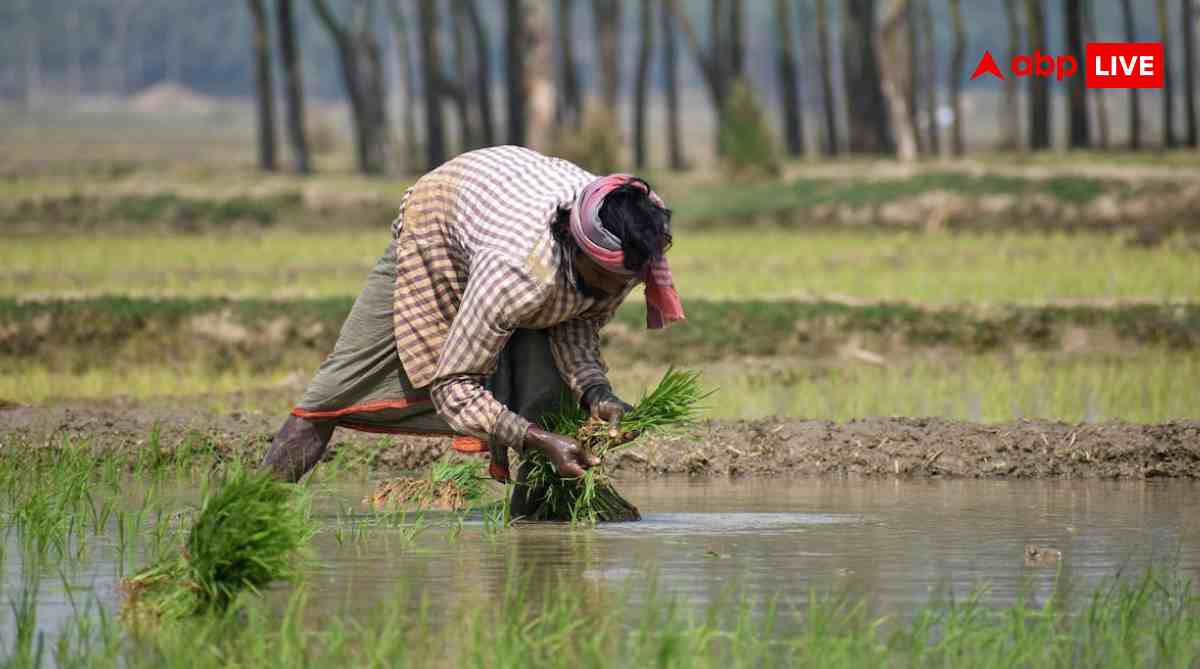 किसानों को सरकार से बड़ी उम्मीद, जानें इस बार के कृषि बजट में क्या होगा खास?
