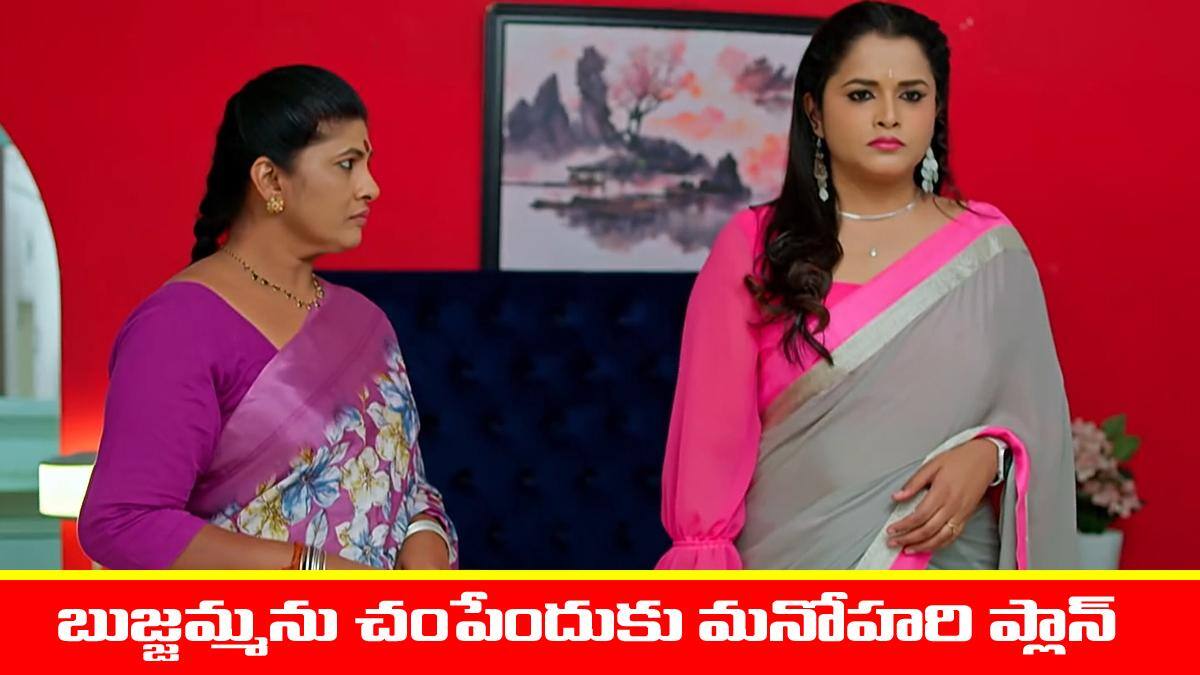 Nindu Noorella Saavasam Serial Today January 29th: ‘నిండు నూరేళ్ల సావాసం’ సీరియల్‌: బుజ్జమ్మను చంపేందుకు మనోహరి ప్లాన్‌ - కంగారులో భాగీ