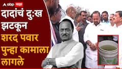 अजित पवारांचं दु:ख झटकून शरद पवार ऑन फिल्ड; नीरा नदीची केली पाहणी; ग्रामस्थांसोबत नेमका काय संवाद साधला?