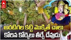 Chetla tandra Lakshmi Narasimha Temple | అరటిగెలల మహోత్సవం చూడాలనుకుంటున్నారా.? | ABP Desam