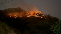 Virar Fire News: विरारच्या वैष्णवी देवी डोंगराला भीषण आग; मोठ्या प्रमाणात वनसंपदा अक्षरशः जळून खाक