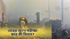 আনন্দপুর থেকে পাওয়া দেহাংশ, হাড়, দাঁত, মাংস থেকে উঠে এল কোন তথ্য? কী বলছে রিপোর্ট?